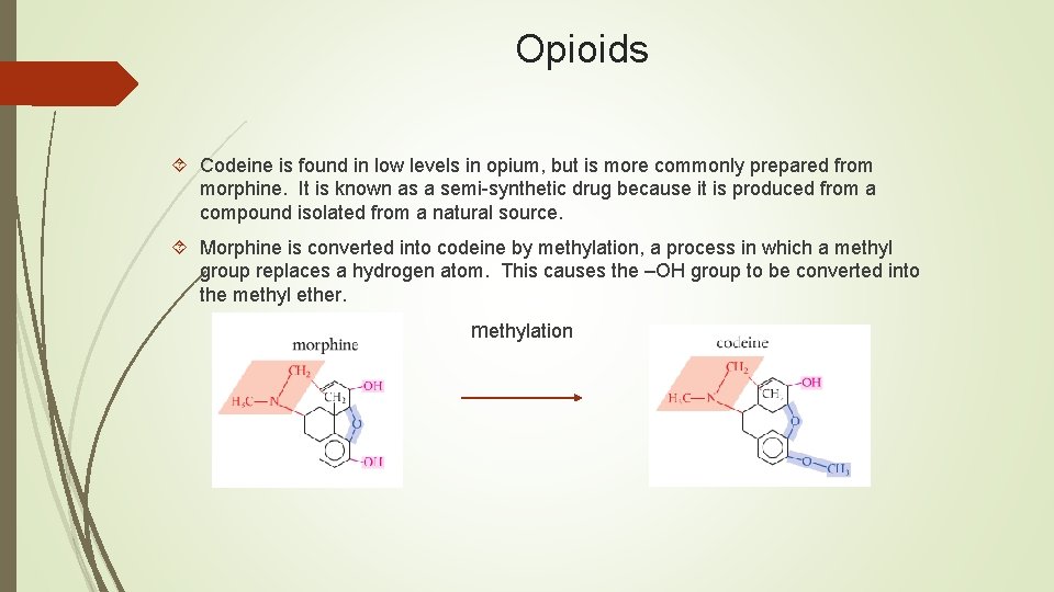 Opioids Codeine is found in low levels in opium, but is more commonly prepared