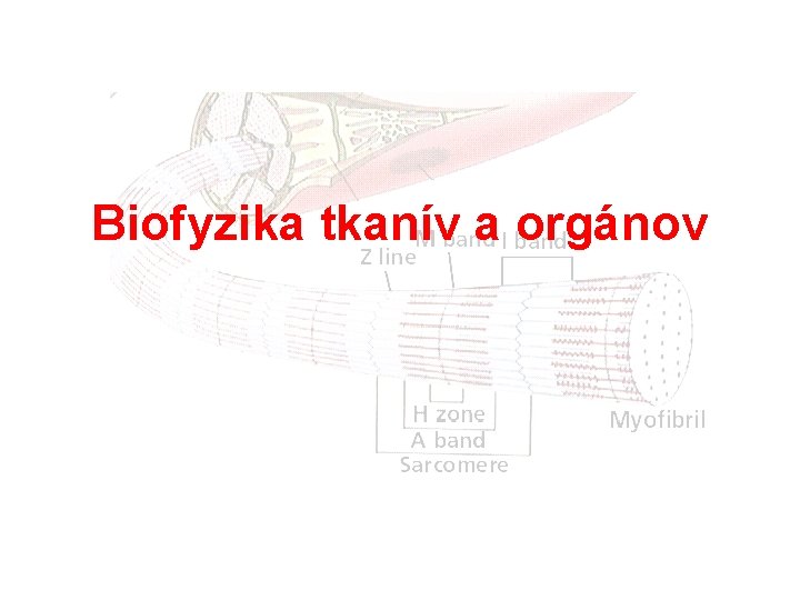 Biofyzika tkanív a orgánov 