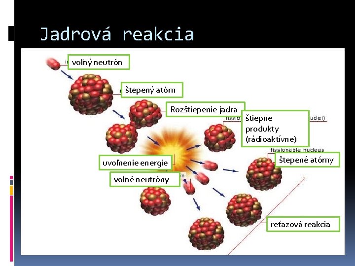 Jadrová reakcia voľný neutrón štepený atóm Rozštiepenie jadra uvoľnenie energie štiepne produkty (rádioaktívne) štepené