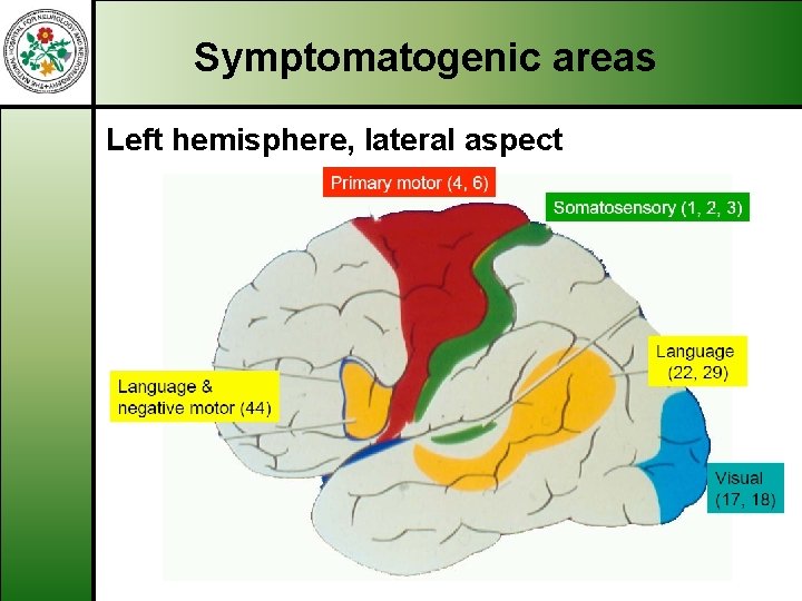 Symptomatogenic areas Left hemisphere, lateral aspect 