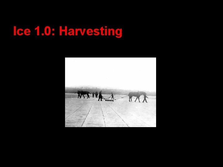 Ice 1. 0: Harvesting 