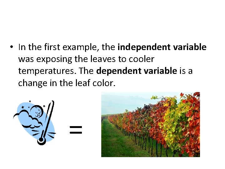  • In the first example, the independent variable was exposing the leaves to