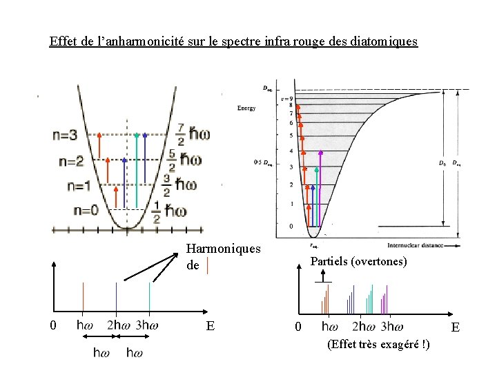 Effet de l’anharmonicité sur le spectre infra rouge des diatomiques Harmoniques de 0 E