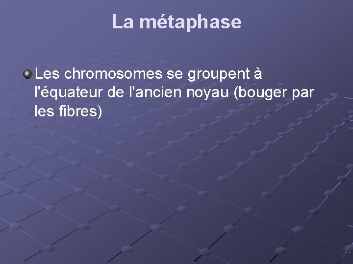 La métaphase Les chromosomes se groupent à l'équateur de l'ancien noyau (bouger par les