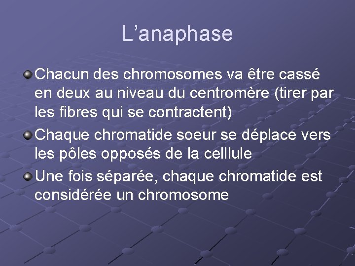 L’anaphase Chacun des chromosomes va être cassé en deux au niveau du centromère (tirer