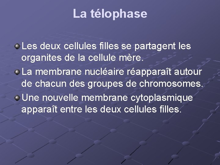 La télophase Les deux cellules filles se partagent les organites de la cellule mère.