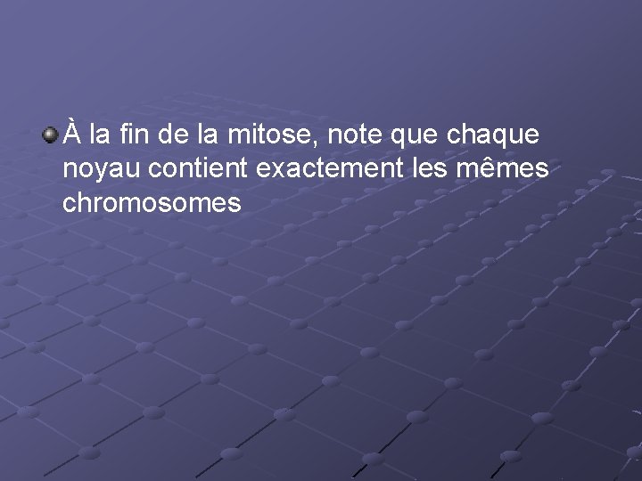 À la fin de la mitose, note que chaque noyau contient exactement les mêmes