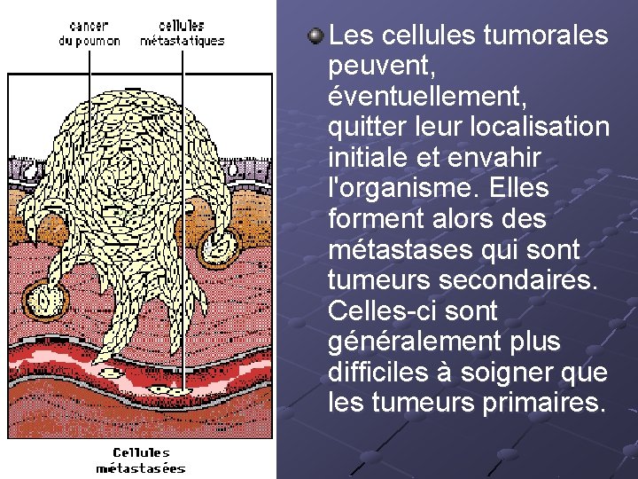 Les cellules tumorales peuvent, éventuellement, quitter leur localisation initiale et envahir l'organisme. Elles forment