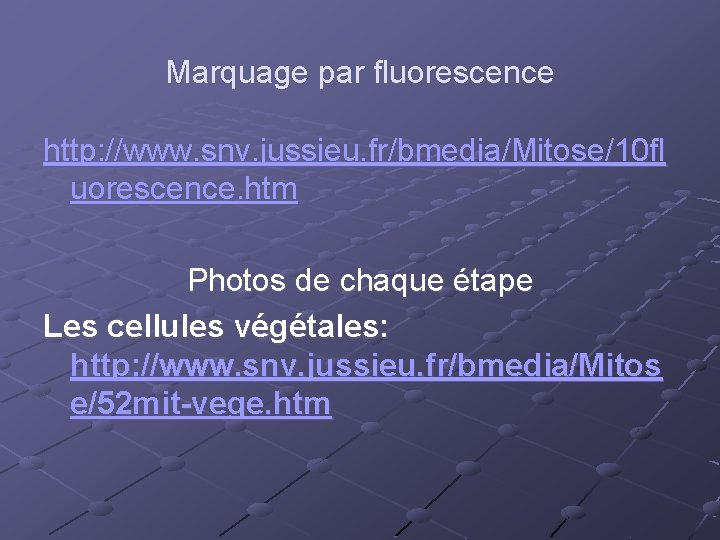 Marquage par fluorescence http: //www. snv. jussieu. fr/bmedia/Mitose/10 fl uorescence. htm Photos de chaque