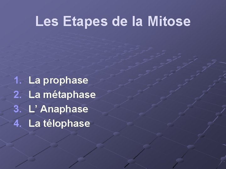 Les Etapes de la Mitose 1. 2. 3. 4. La prophase La métaphase L’
