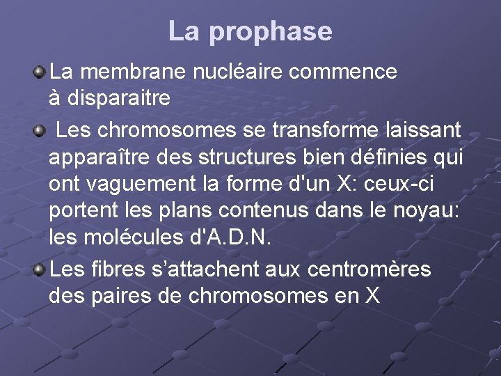 La prophase La membrane nucléaire commence à disparaitre Les chromosomes se transforme laissant apparaître