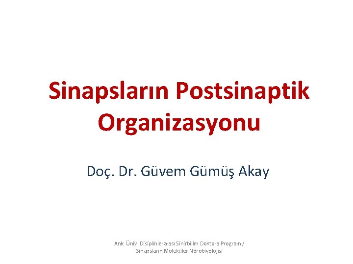 Sinapsların Postsinaptik Organizasyonu Doç. Dr. Güvem Gümüş Akay Ank. Üniv. Disiplinlerarası Sinirbilim Doktora Programı/