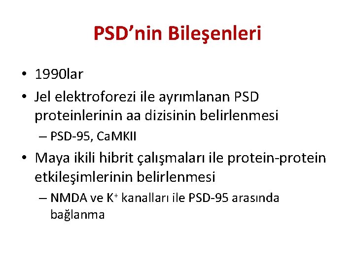 PSD’nin Bileşenleri • 1990 lar • Jel elektroforezi ile ayrımlanan PSD proteinlerinin aa dizisinin