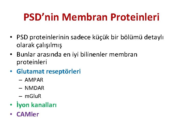 PSD’nin Membran Proteinleri • PSD proteinlerinin sadece küçük bir bölümü detaylı olarak çalışılmış •