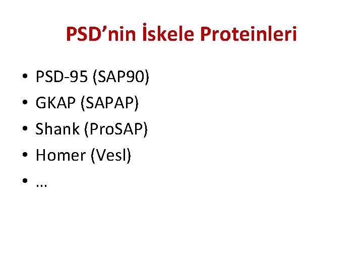 PSD’nin İskele Proteinleri • • • PSD-95 (SAP 90) GKAP (SAPAP) Shank (Pro. SAP)