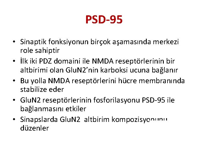 PSD-95 • Sinaptik fonksiyonun birçok aşamasında merkezi role sahiptir • İlk iki PDZ domaini