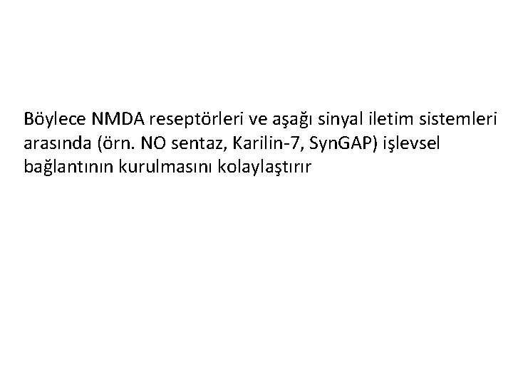 Böylece NMDA reseptörleri ve aşağı sinyal iletim sistemleri arasında (örn. NO sentaz, Karilin-7, Syn.