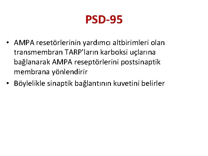 PSD-95 • AMPA resetörlerinin yardımcı altbirimleri olan transmembran TARP’ların karboksi uçlarına bağlanarak AMPA reseptörlerini