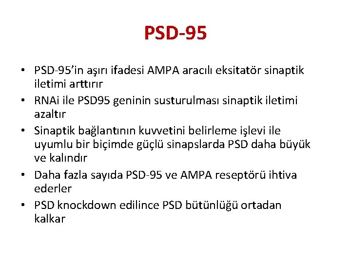 PSD-95 • PSD-95’in aşırı ifadesi AMPA aracılı eksitatör sinaptik iletimi arttırır • RNAi ile