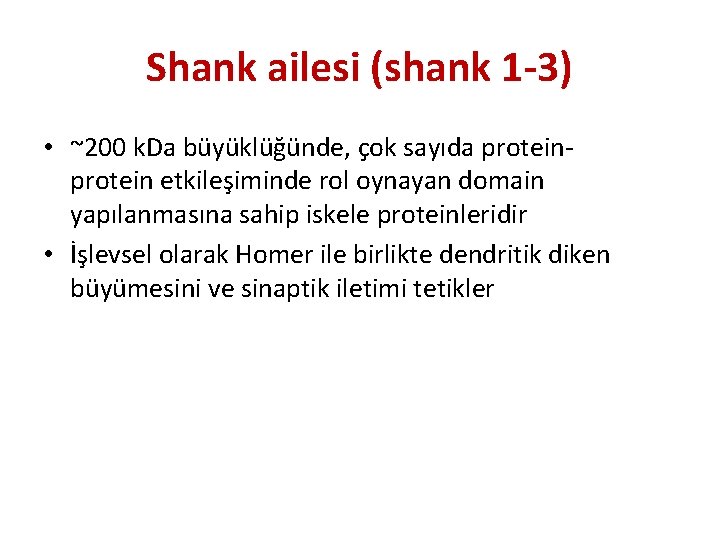 Shank ailesi (shank 1 -3) • ~200 k. Da büyüklüğünde, çok sayıda protein etkileşiminde