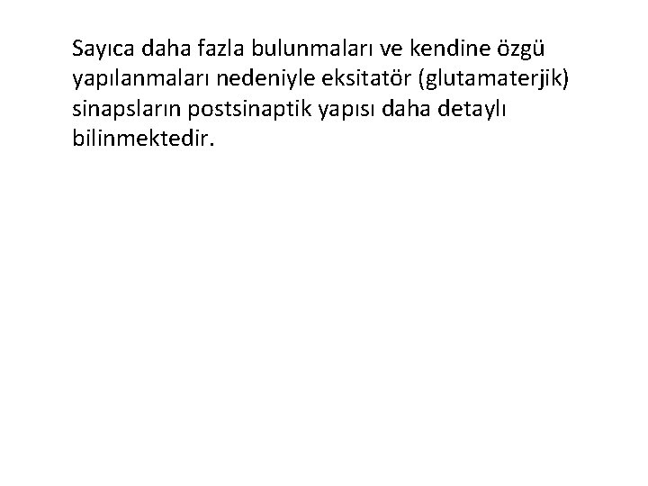 Sayıca daha fazla bulunmaları ve kendine özgü yapılanmaları nedeniyle eksitatör (glutamaterjik) sinapsların postsinaptik yapısı