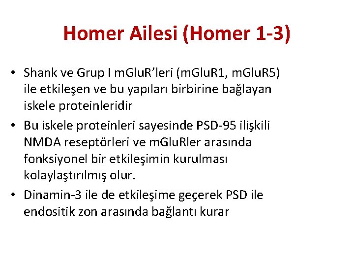 Homer Ailesi (Homer 1 -3) • Shank ve Grup I m. Glu. R’leri (m.