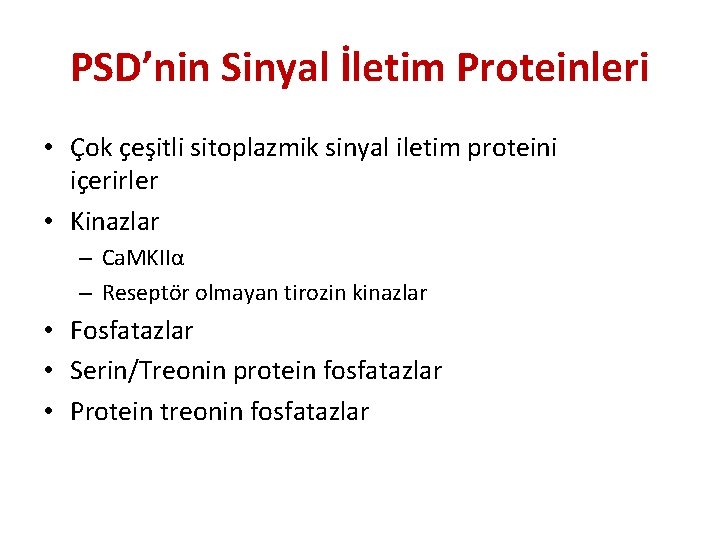 PSD’nin Sinyal İletim Proteinleri • Çok çeşitli sitoplazmik sinyal iletim proteini içerirler • Kinazlar