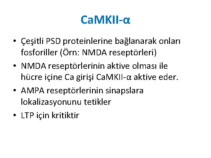 Ca. MKII-α • Çeşitli PSD proteinlerine bağlanarak onları fosforiller (Örn: NMDA reseptörleri) • NMDA