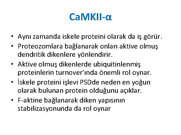 Ca. MKII-α • Aynı zamanda iskele proteini olarak da iş görür. • Proteozomlara bağlanarak