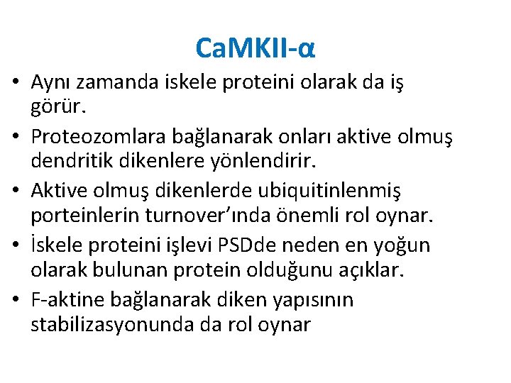 Ca. MKII-α • Aynı zamanda iskele proteini olarak da iş görür. • Proteozomlara bağlanarak