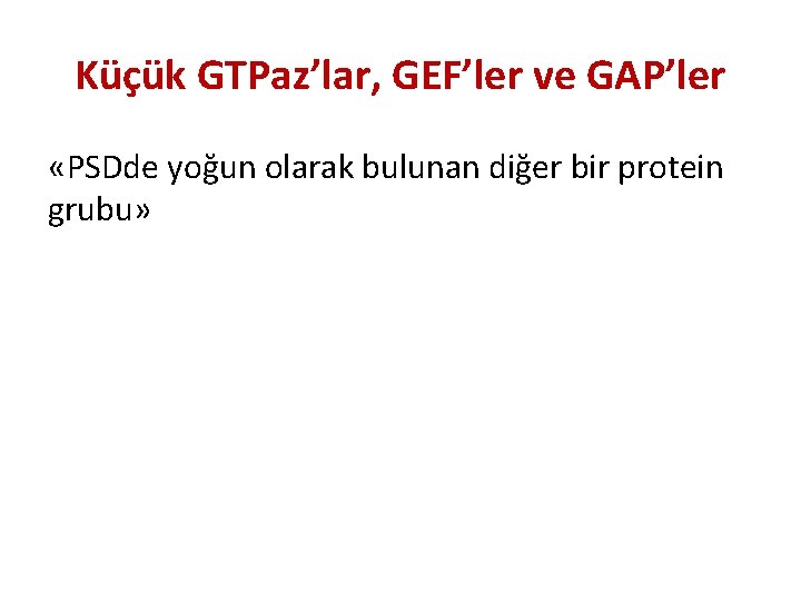 Küçük GTPaz’lar, GEF’ler ve GAP’ler «PSDde yoğun olarak bulunan diğer bir protein grubu» 