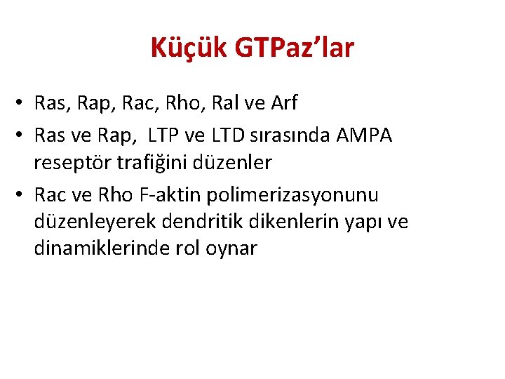 Küçük GTPaz’lar • Ras, Rap, Rac, Rho, Ral ve Arf • Ras ve Rap,