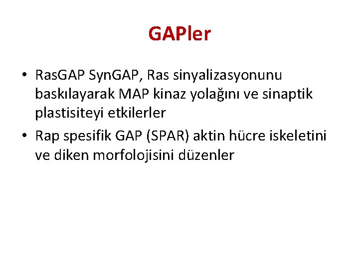 GAPler • Ras. GAP Syn. GAP, Ras sinyalizasyonunu baskılayarak MAP kinaz yolağını ve sinaptik