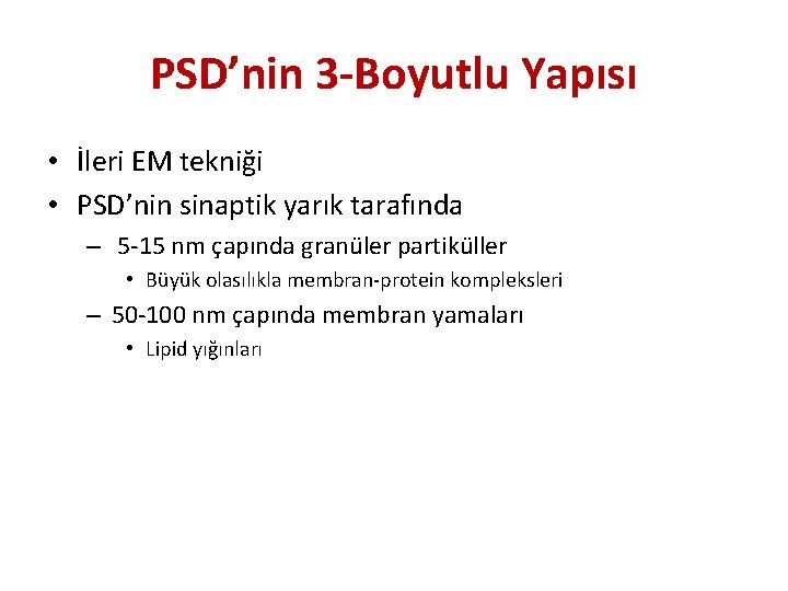 PSD’nin 3 -Boyutlu Yapısı • İleri EM tekniği • PSD’nin sinaptik yarık tarafında –