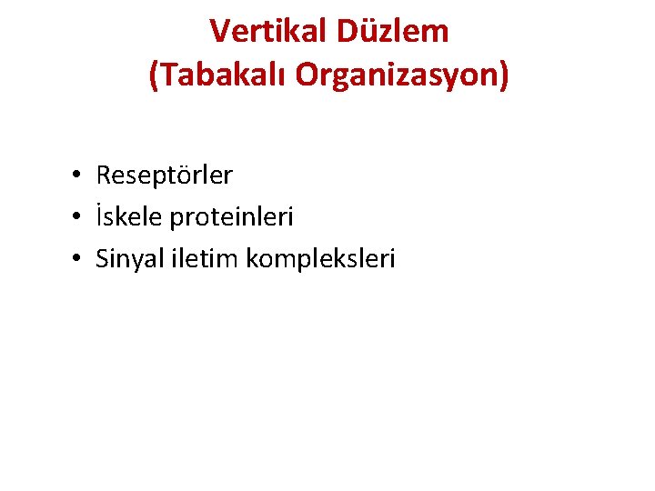 Vertikal Düzlem (Tabakalı Organizasyon) • Reseptörler • İskele proteinleri • Sinyal iletim kompleksleri 