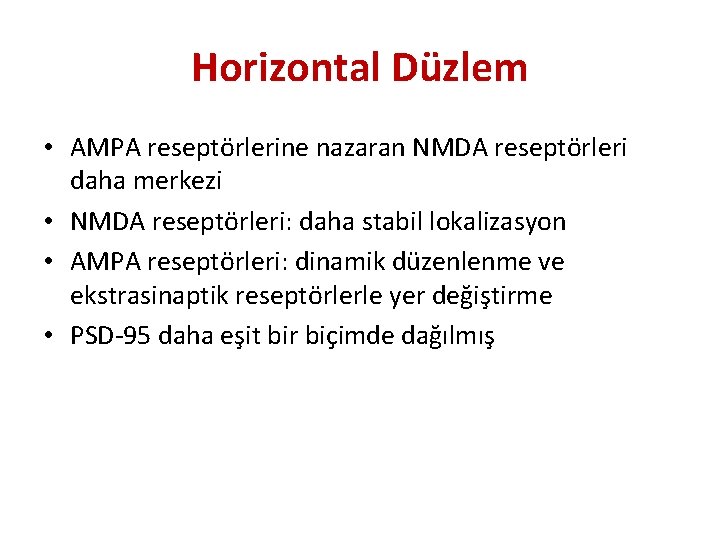 Horizontal Düzlem • AMPA reseptörlerine nazaran NMDA reseptörleri daha merkezi • NMDA reseptörleri: daha