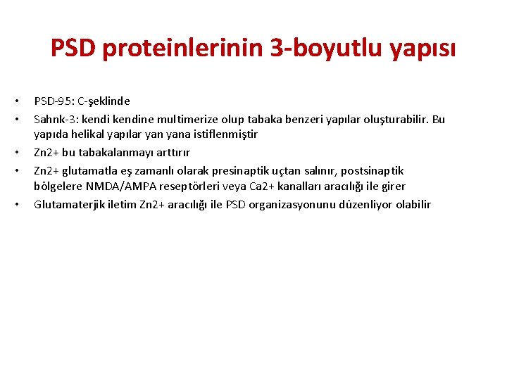 PSD proteinlerinin 3 -boyutlu yapısı • • • PSD-95: C-şeklinde Sahnk-3: kendine multimerize olup