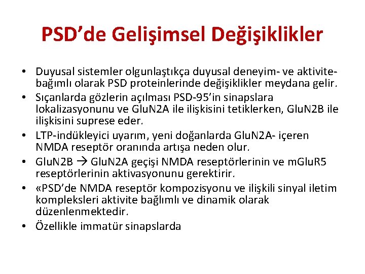 PSD’de Gelişimsel Değişiklikler • Duyusal sistemler olgunlaştıkça duyusal deneyim- ve aktivitebağımlı olarak PSD proteinlerinde