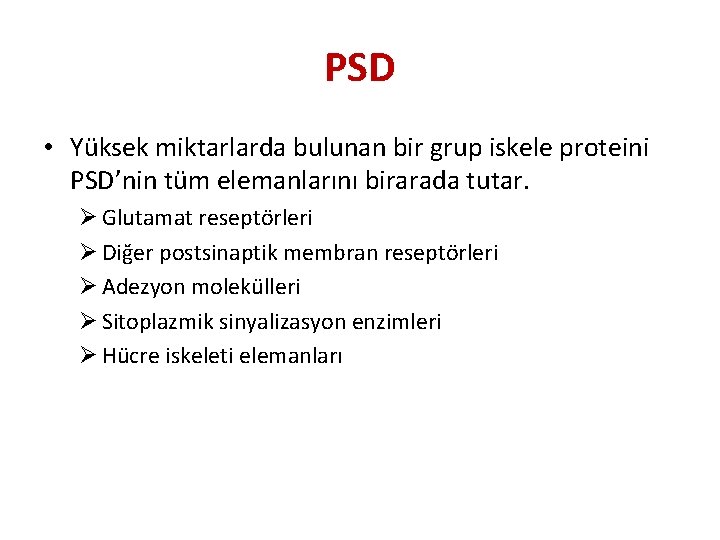 PSD • Yüksek miktarlarda bulunan bir grup iskele proteini PSD’nin tüm elemanlarını birarada tutar.