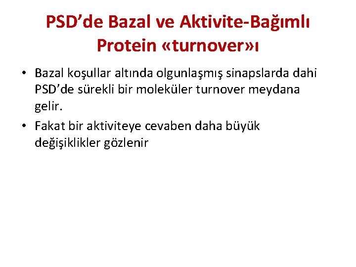 PSD’de Bazal ve Aktivite-Bağımlı Protein «turnover» ı • Bazal koşullar altında olgunlaşmış sinapslarda dahi