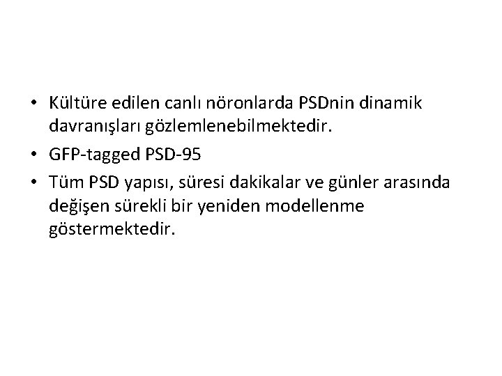  • Kültüre edilen canlı nöronlarda PSDnin dinamik davranışları gözlemlenebilmektedir. • GFP-tagged PSD-95 •