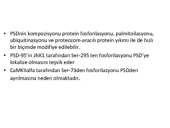  • PSDnin kompozisyonu protein fosforilasyonu, palmitoilasyonu, ubiquitinasyonu ve proteozom-aracılı protein yıkımı ile de