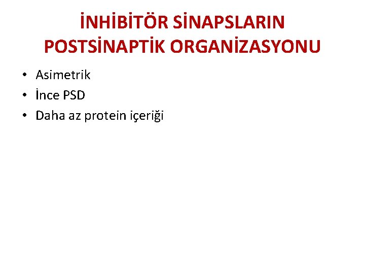 İNHİBİTÖR SİNAPSLARIN POSTSİNAPTİK ORGANİZASYONU • Asimetrik • İnce PSD • Daha az protein içeriği