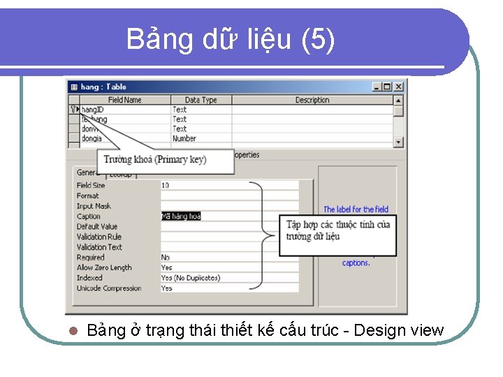 Bảng dữ liệu (5) l Bảng ở trạng thái thiết kế cấu trúc -