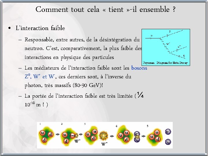 Comment tout cela « tient » -il ensemble ? • L’interaction faible – Responsable,