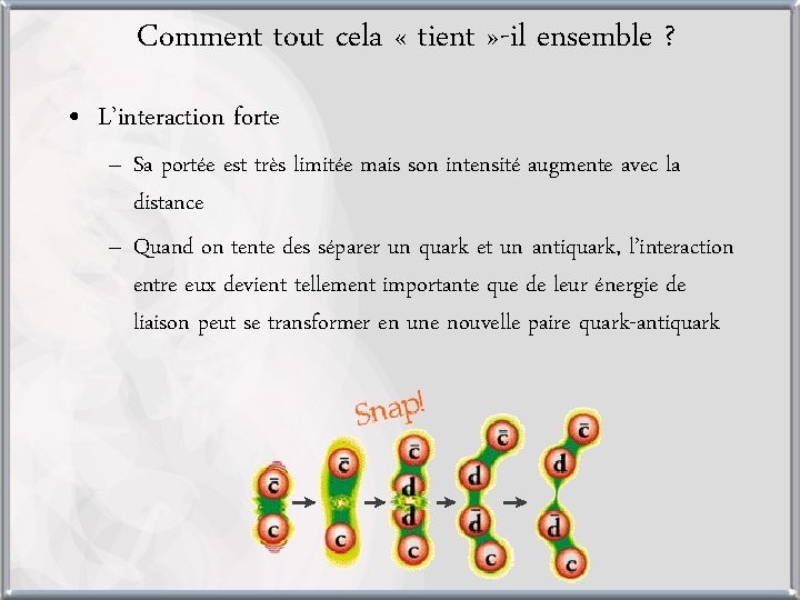 Comment tout cela « tient » -il ensemble ? • L’interaction forte – Sa