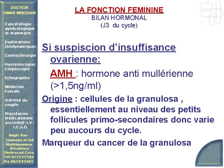 LA FONCTION FEMININE BILAN HORMONAL (J 3 du cycle) Si suspiscion d’insuffisance ovarienne: AMH