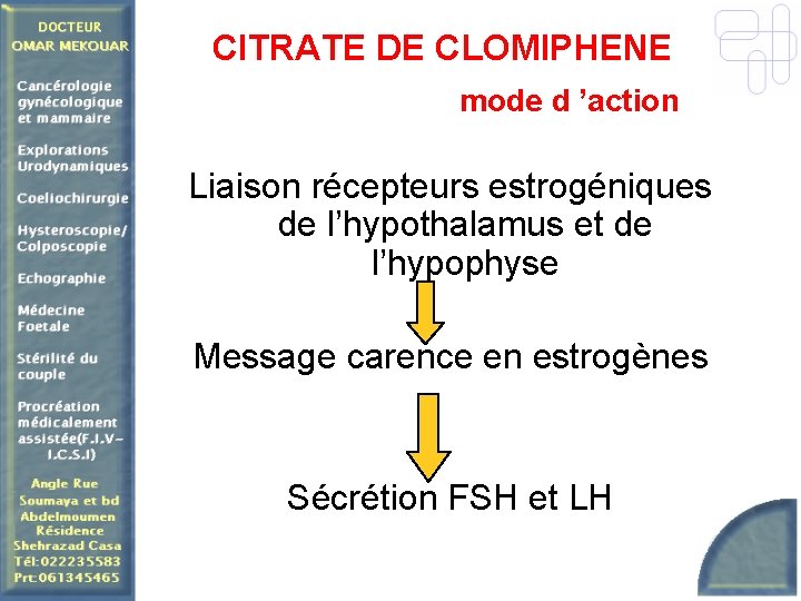 CITRATE DE CLOMIPHENE mode d ’action Liaison récepteurs estrogéniques de l’hypothalamus et de l’hypophyse