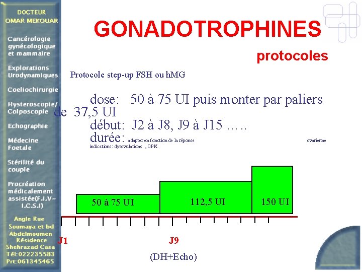 GONADOTROPHINES protocoles Protocole step-up FSH ou h. MG dose: 50 à 75 UI puis