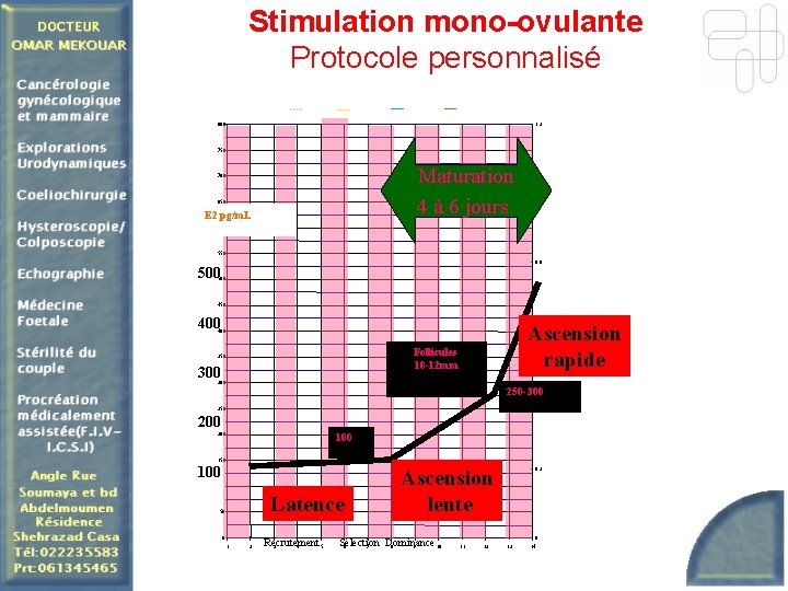 Stimulation mono-ovulante Protocole personnalisé 800 1, 2 750 Maturation 4 à 6 jours 700